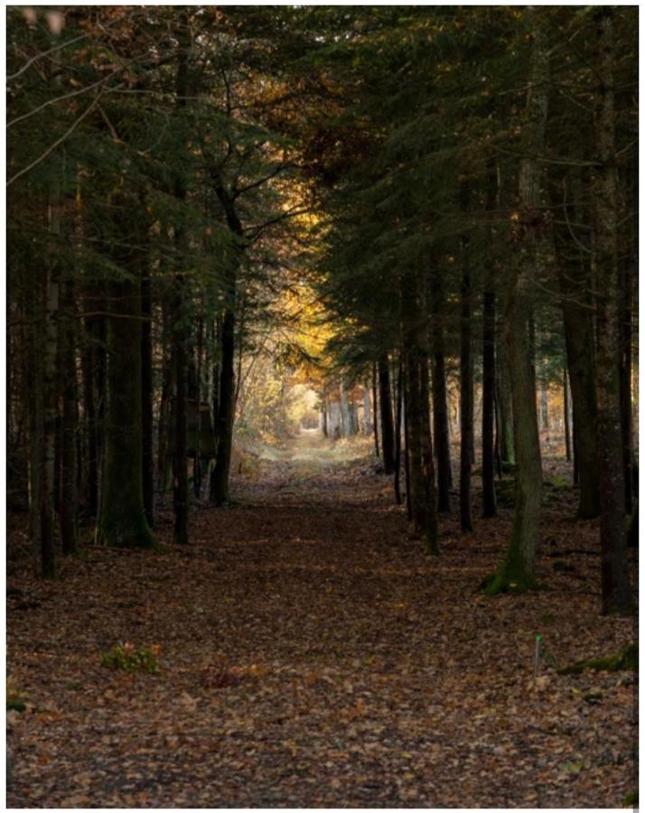 Les Chatelliers Bouzy-la-Foret Экстерьер фото