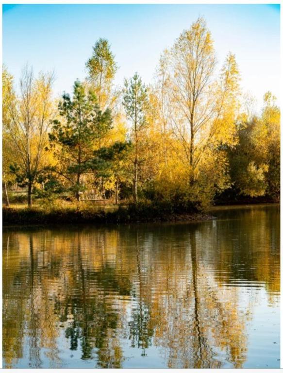 Les Chatelliers Bouzy-la-Foret Экстерьер фото